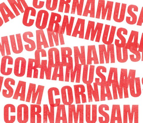 Cartell del festival Cornamusam 2026