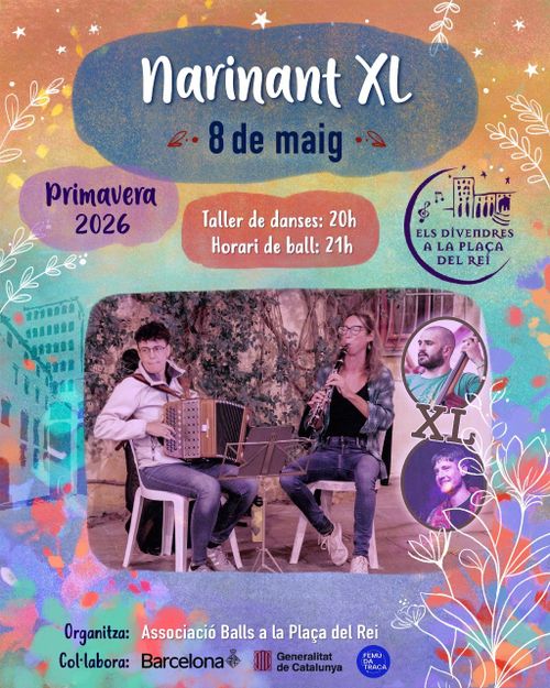 Narinant a la plaça del rei