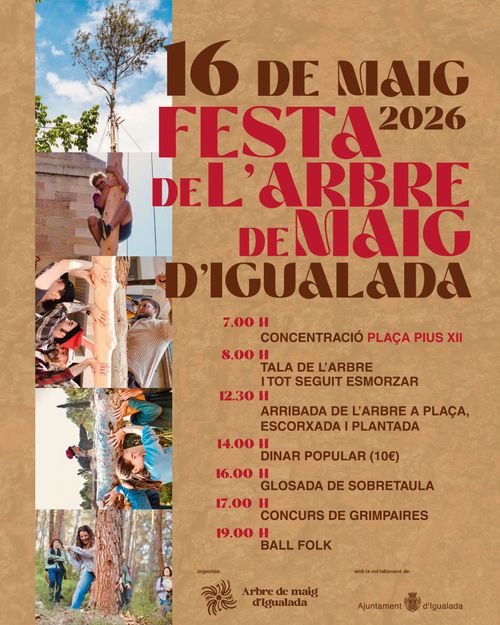 FESTA ARBRE DE MAIG a Igualada